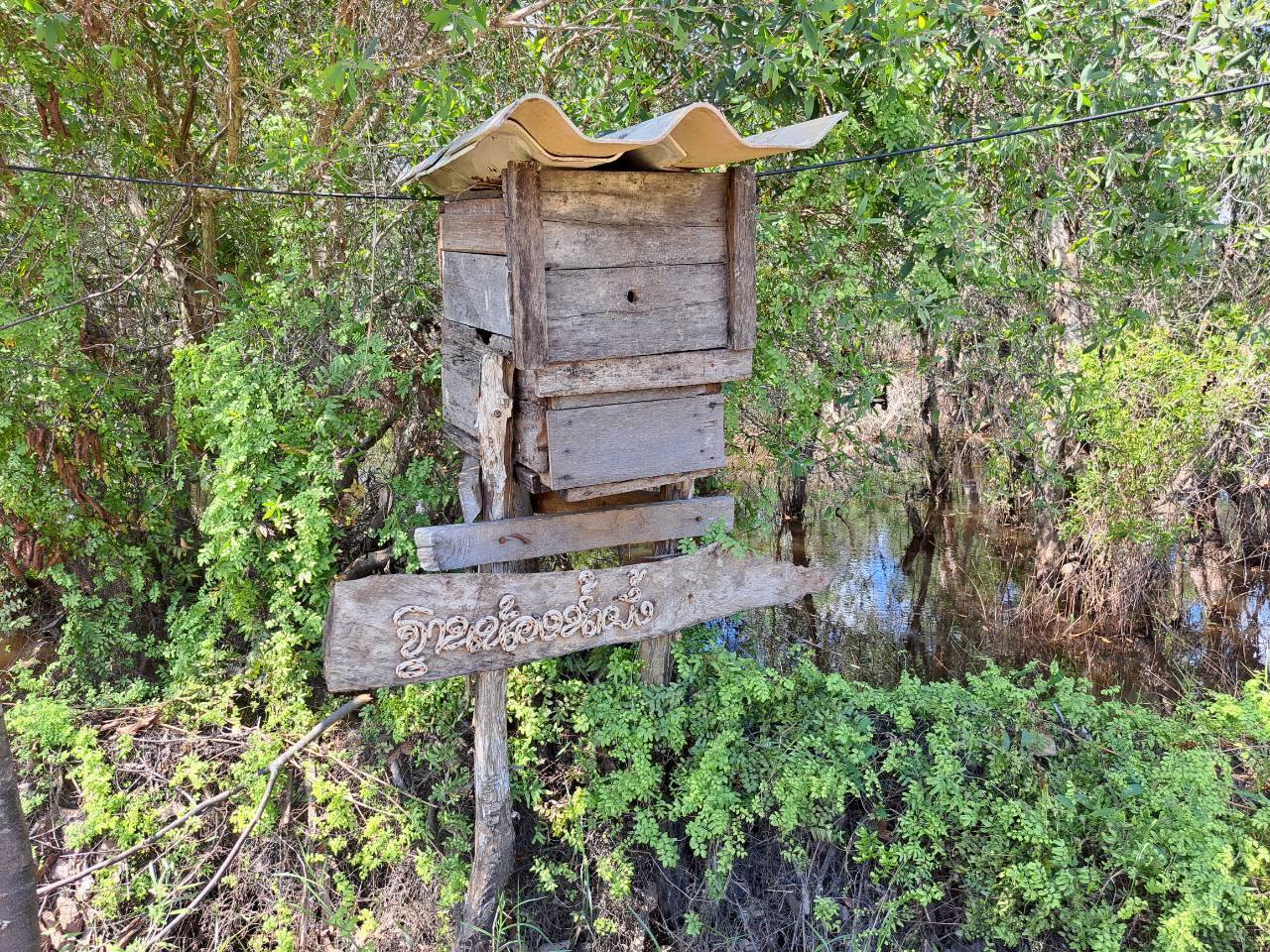 พช.ปากพะยูน พาตะลุย แปลงโคก หนอง นา ณ บริเวณแปลงโคก หนอง นา ผู้ใหญ่สวิง แหละหมัน หมู่ที่ 6 ตำบลเกาะหมาก อำเภอปากพะยูน จังหวัดพัทลุง