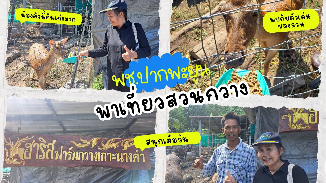 พช.ปากพะยูนพาเที่ยว "อาริสฟาร์มกวางเกาะนางคำ"